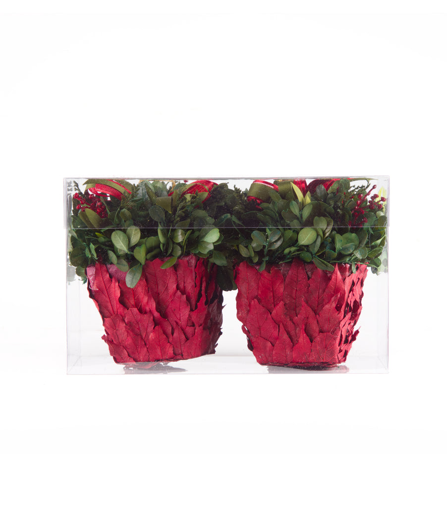 Estuche con 2 Piezas de Cache Pot de Hoja de Laurel Redwood