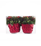 Estuche con 2 Piezas de Cache Pot de Hoja de Laurel Redwood