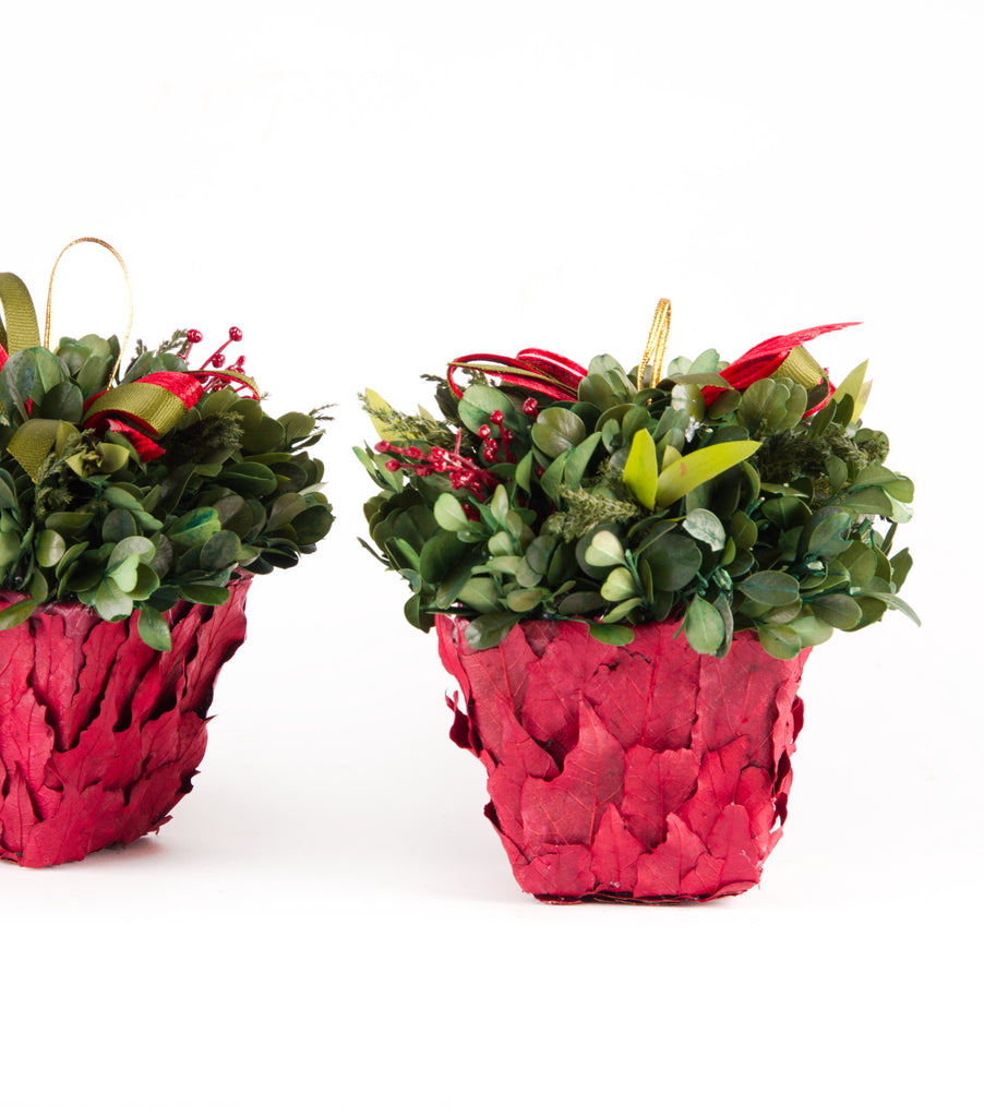 Estuche con 2 Piezas de Cache Pot de Hoja de Laurel Redwood