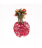 Estuche con 2 Piezas de Manzanas de Curly Red Wood