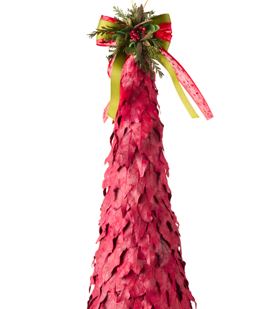 Estuche con 1 Pieza de Pino Grande de Hoja de Laurel Red Wood