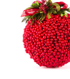 Estuche con 1 Pieza de Esfera Berries Redwood