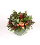 Cache Pot Alajero Grande Redwood