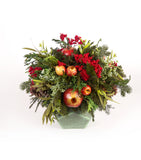 Cache Pot Grande Pentagono Redwood