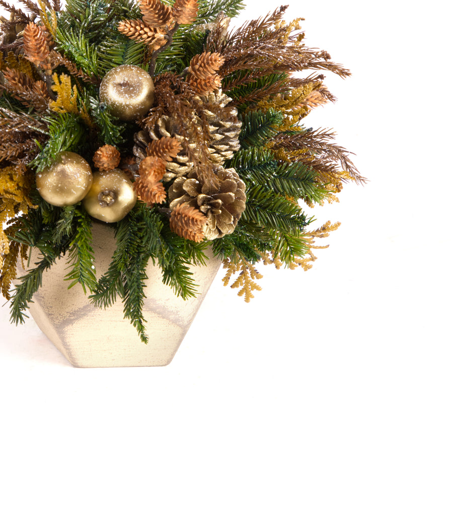 Cache Pot Chico Pentágono Terranova