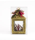 Estuche con 1 Pieza de Farol Mediano de Corteza y Hoja de Encino Martha Sophia