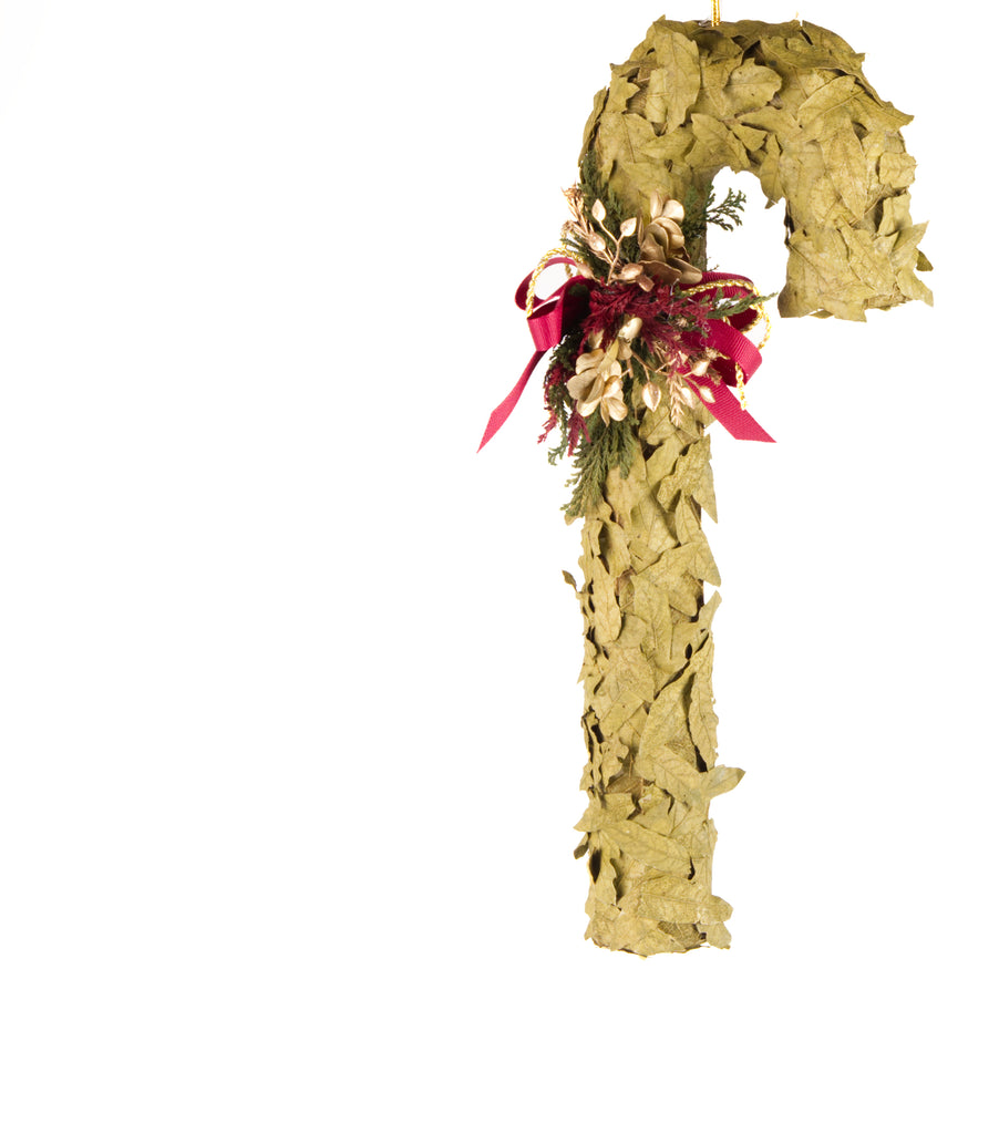 Estuche con 2 Piezas de Bastones de Hoja de Encino Martha Sophia