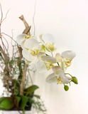 Orquideario con Dos Phalaenopsis Artificiales en Base Cuadrada Tipo Cantera