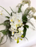 Orquideario con Mini Phalaenopsis Blanca y Follajes Artificiales en Base Ovalada de Vidrio con Agua Acrílica