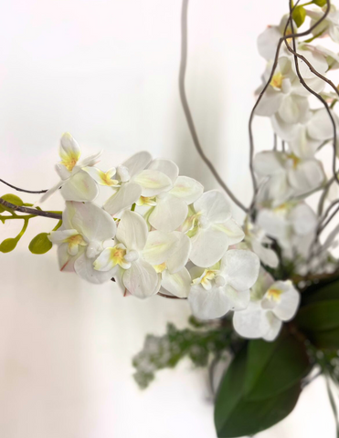 Orquideario con Mini Phalaenopsis Blanca Artificial en Florero de Vidrio con Herrería