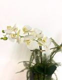 Orquideario con Phalaenopsis Blanca Artificial en Base de Cerámica