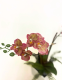 Orquideario con Mini Phalaenopsis Rosa Artificial en Base Cuadrada Tipo Cantera