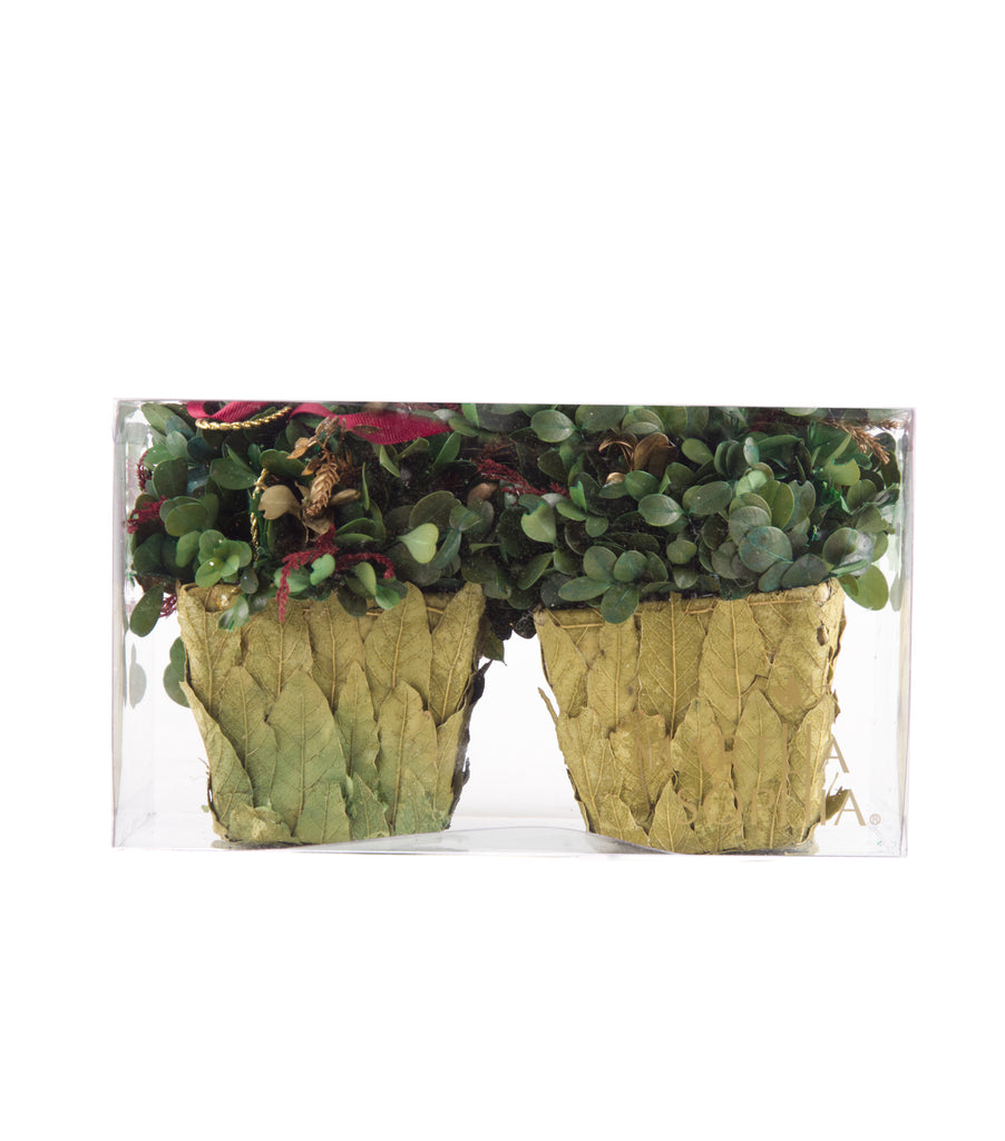 Estuche con 2 Piezas de Cache Pot de Hoja de Laurel Martha Sophia