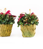 Estuche con 2 Piezas de Cache Pot de Hoja de Laurel Martha Sophia