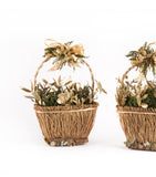 Estuche con 2pzas Canastas de Ocote y Musgo Golden Forest