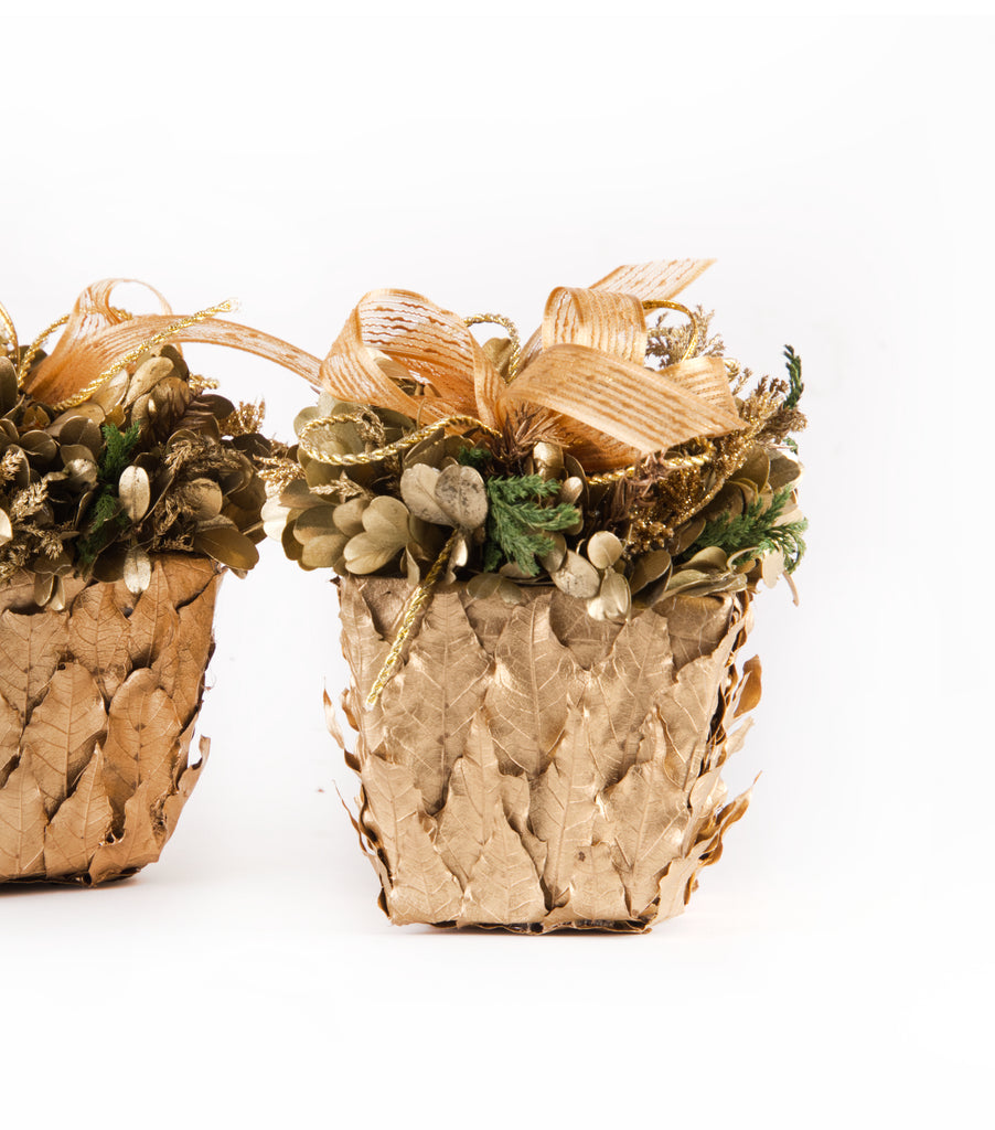 Estuche con 2pzas Cache Pot de Hoja de Laurel Golden Forest