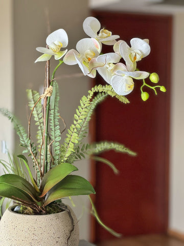Orquideario con Phalaenopsis Blanca Artificial en Base Tipo Cantera