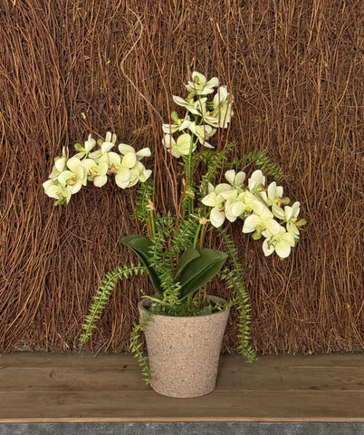 Orquideario con Mini Phalaenopsis Verde Artificiales en Base Tipo Cantera