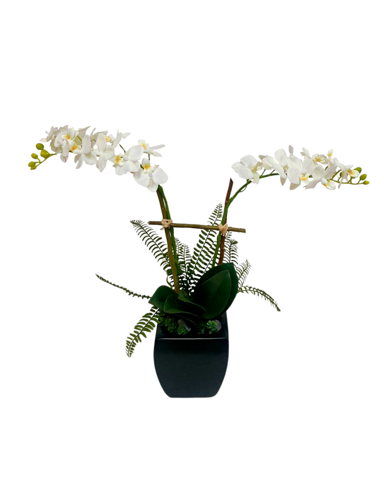 Orquideario con Mini Phalaenopsis Blanca Artificial en Base de Ceramica