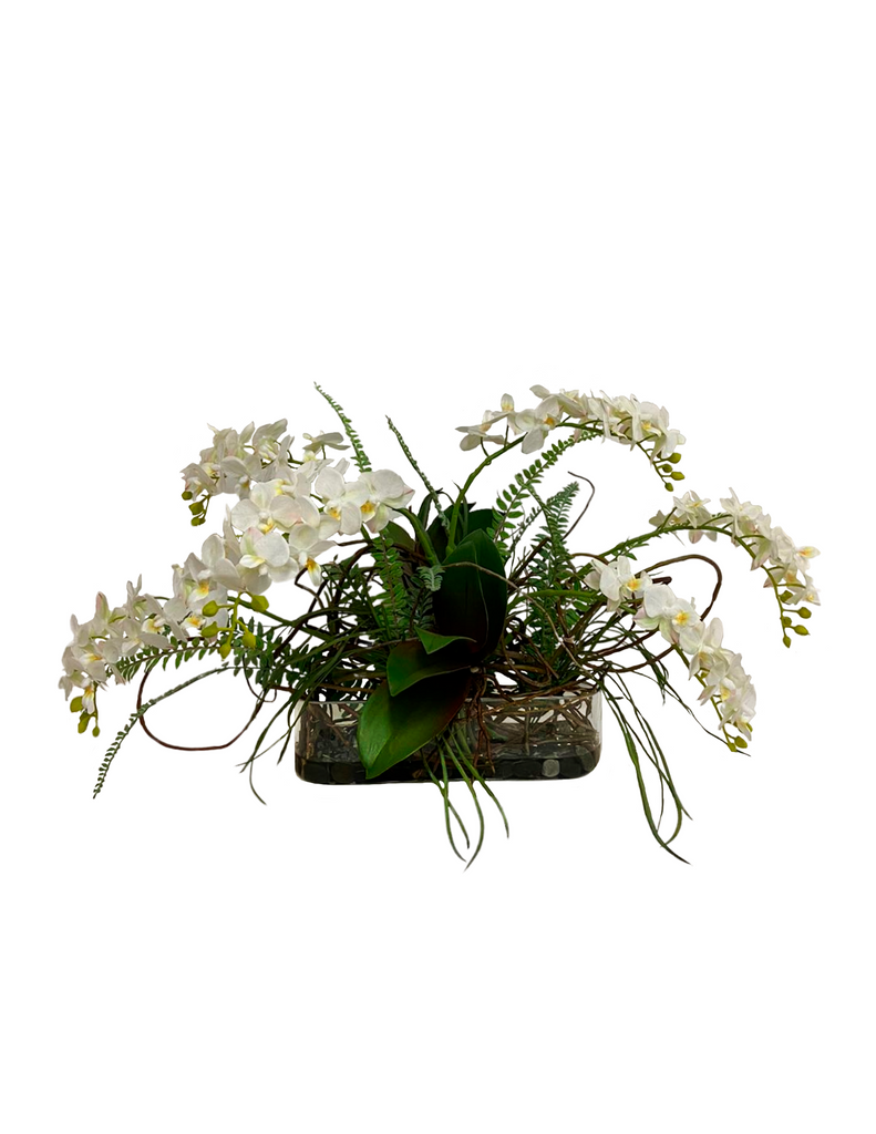Orquideario con Mini Phalaenopsis Blanca y Follajes Artificiales en Base Ovalada de Vidrio con Agua Acrílica