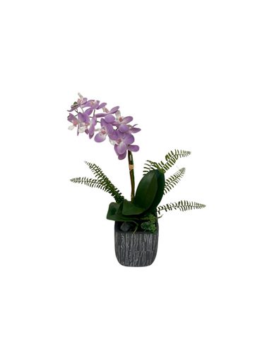 Orquideario con Mini Phalaenopsis Lila Artificial en Base Cuadrada Tipo Cantera