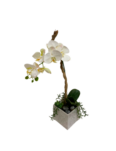 Orquideario con Phalaenopsis Artificial en Base Cuadrada Tipo Cantera