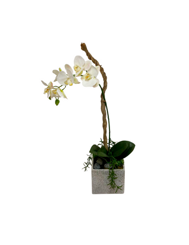 Orquideario con Phalaenopsis Artificial en Base Cuadrada Tipo Cantera
