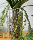 Orquideario con Mini Phalaenopsis Artificial en Florero de Vidrio con Herrería
