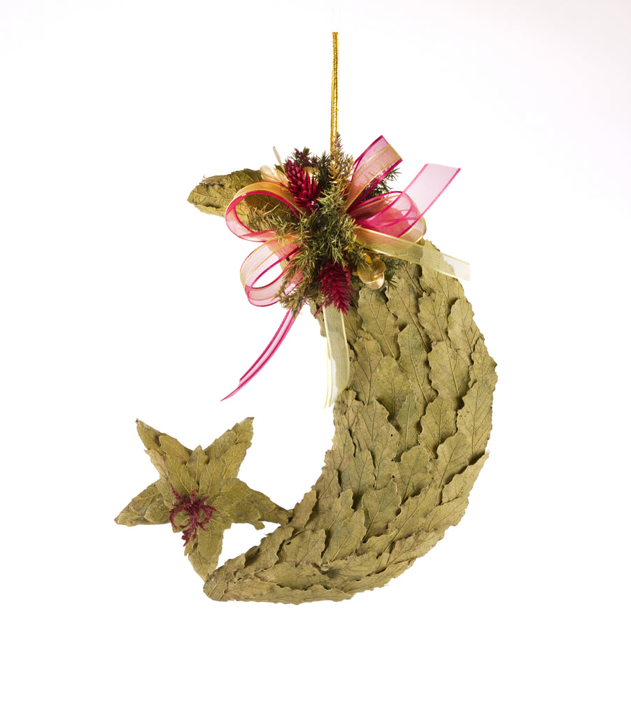 Estuche con 2 Piezas de Luna y Estrellas de Hoja de Encino Martha Sophia