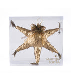Estuche con 1 Pieza de Piñata de Hoja de Encino y Laurel Golden Woods