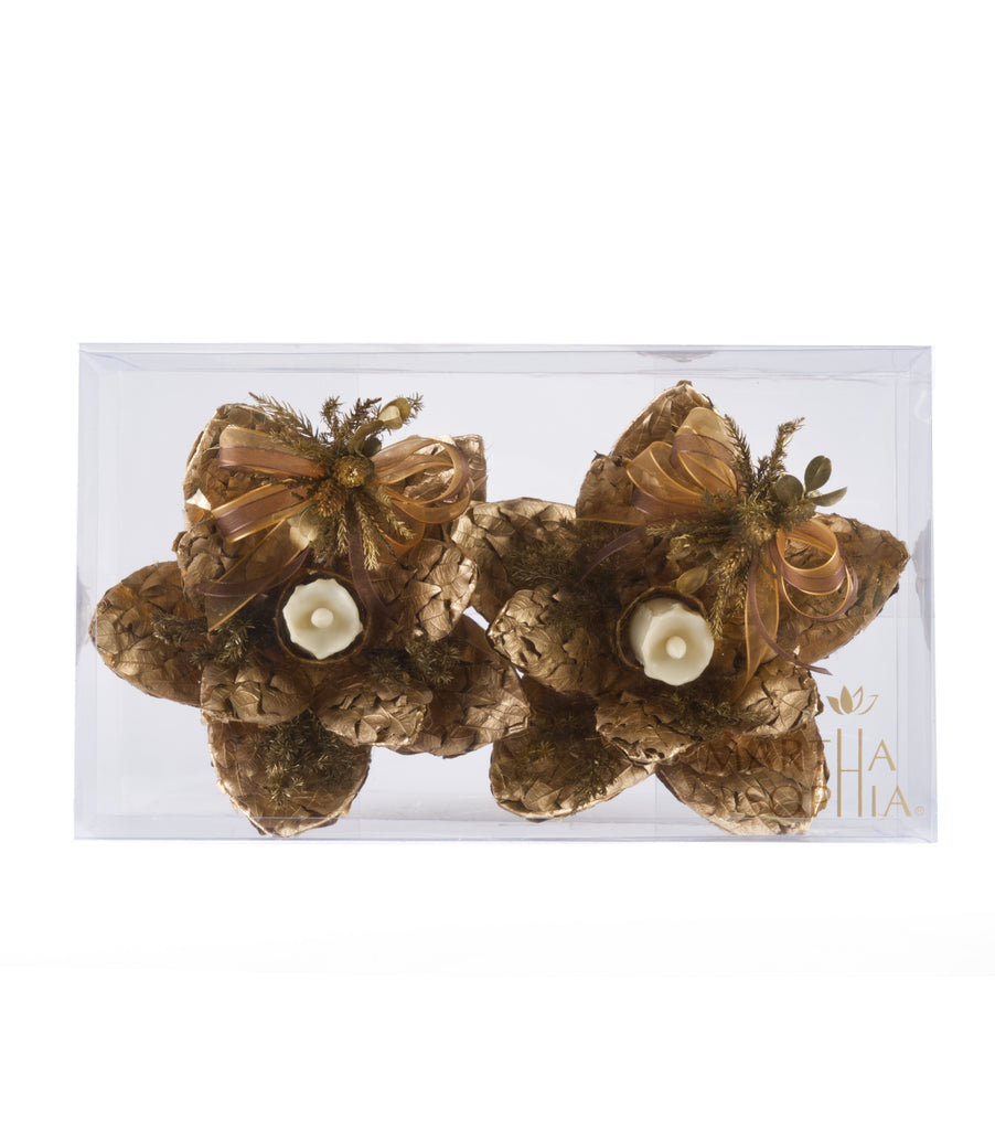 Estuche con 2 Piezas de Flor de Loto de Hoja de Encino y Laurel c/Led Golden Woods