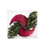 Estuche con 2 Piezas de Cuernos de la Abundancia Redwood