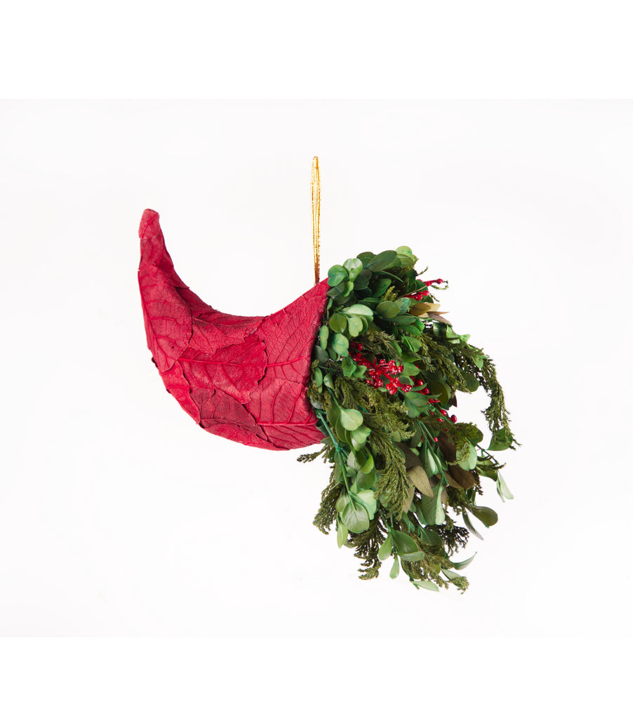 Estuche con 2 Piezas de Cuernos de la Abundancia Redwood