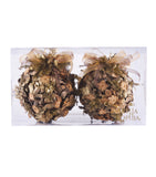 Estuche con 2 Piezas de Esferas Medianas de Corteza Golden Woods