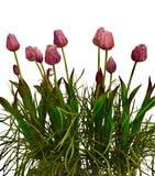 Centro de Mesa con Tulipanes Artificiales en Base Rectangular de Vidrio con Agua Acrílica