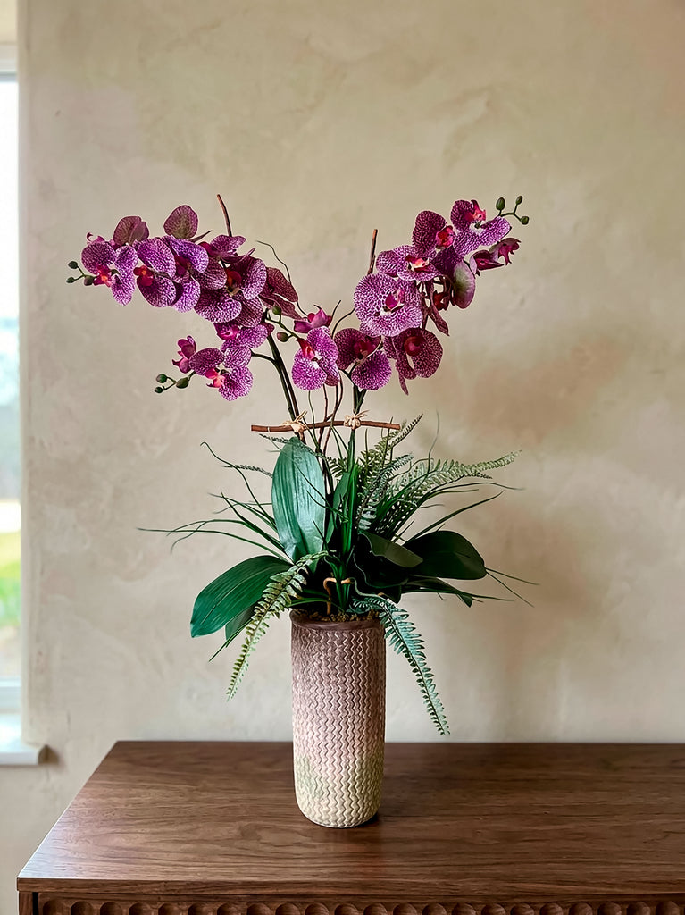 Orquideario con Phalaenopsis Moteada en Base de Concreto
