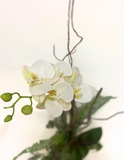 Orquideario con Phalaenopsis Blanca Artificial en Base de Vidrio