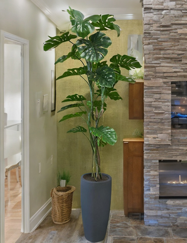 Planta Monstera Artificial de 2.70 mts en Jarrón Fuente Mediano de Fibra de Vidrio