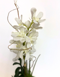 Orquideario con Vanda Orchid Artificial en en Base Tipo Cantera