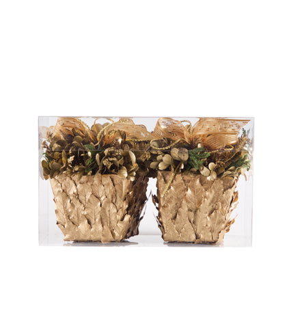 Estuche con Cache Pot de Hoja de Laurel Golden Forest