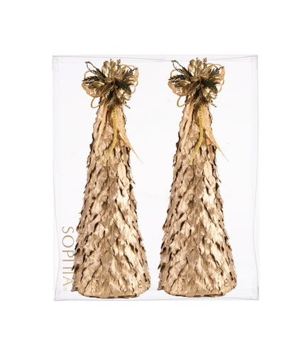 Estuche con Pinos Medianos de Hoja de Laurel Golden Forest