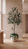 Árbol de Olivo de 2.10 Mts Artificial en Base de Arcilla