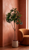 Árbol de Higo de 2 Mts Artificial en Base de Arcilla