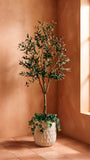Árbol de Olivo de 1.80 Mts Artificial en Base de Arcilla
