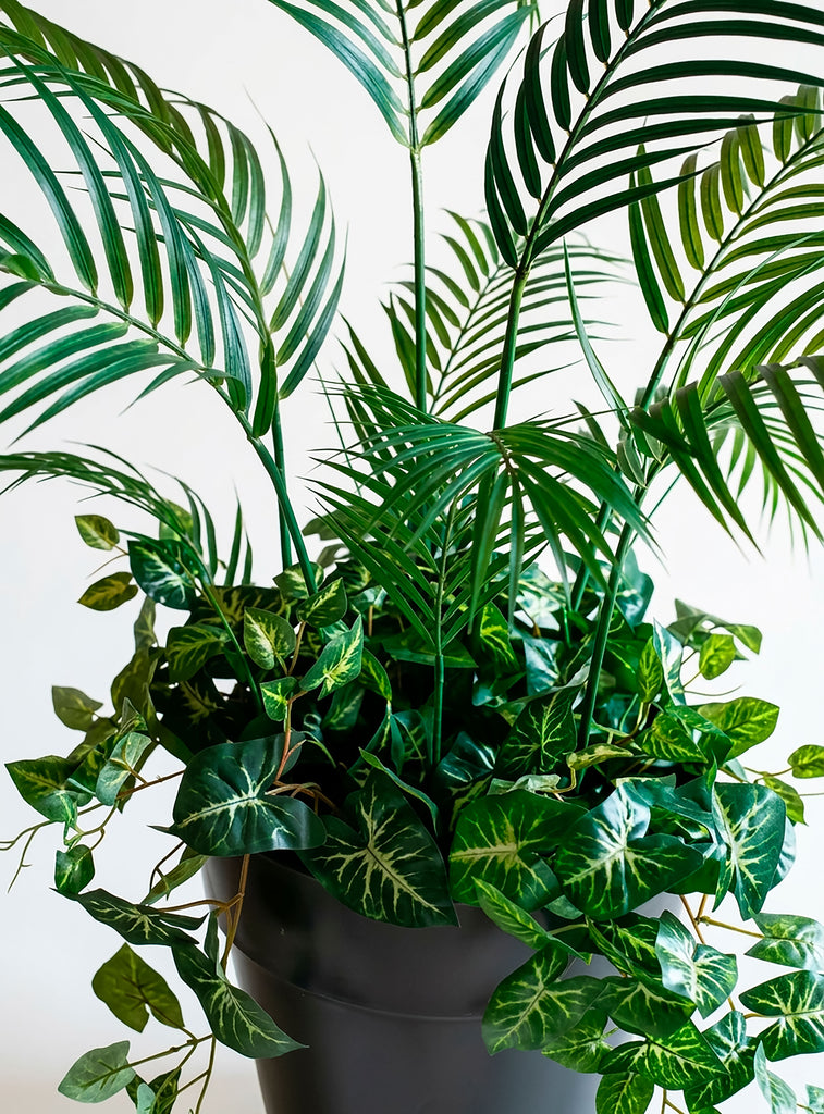 Planta Areca con Nephtytis Artificial 1.20 mts alto en Base de Fibra de Vidrio