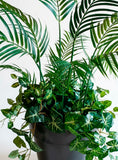 Planta Areca con Nephtytis Artificial 1.20 mts alto en Base de Fibra de Vidrio