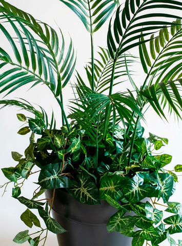 Planta Areca con Nephtytis Artificial 1.20 mts alto en Base de Fibra de Vidrio