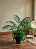 Planta Areca con Nephtytis Artificial 1.20 mts alto en Base de Fibra de Vidrio