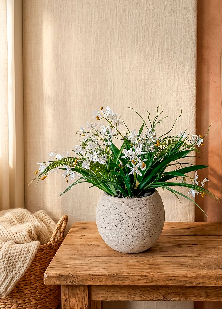 Orquideario con Mini Cattleya en Base de Concreto (Única Pieza)