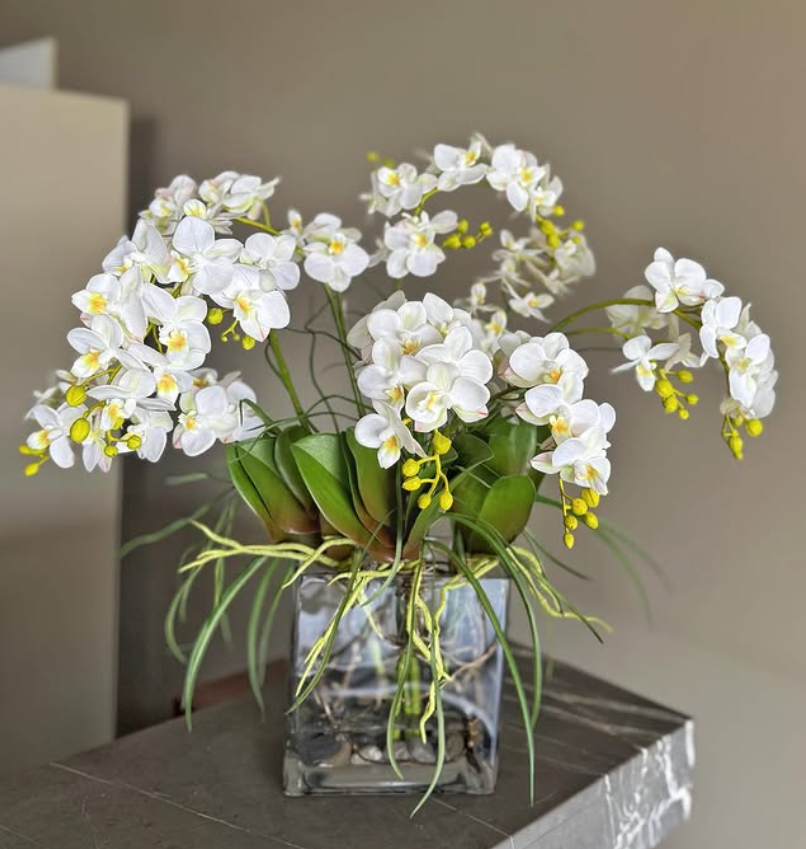 Orquideario con Mini Phalaenopsis y Follajes Artificiales en Base Rectangular de Vidrio